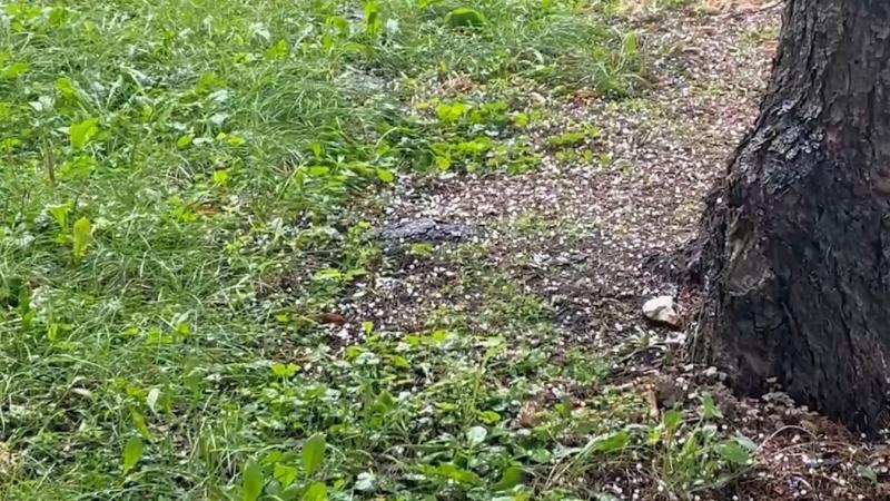 Videó! Jégeső csapott le Egert, így a város hétfő délután elázott.