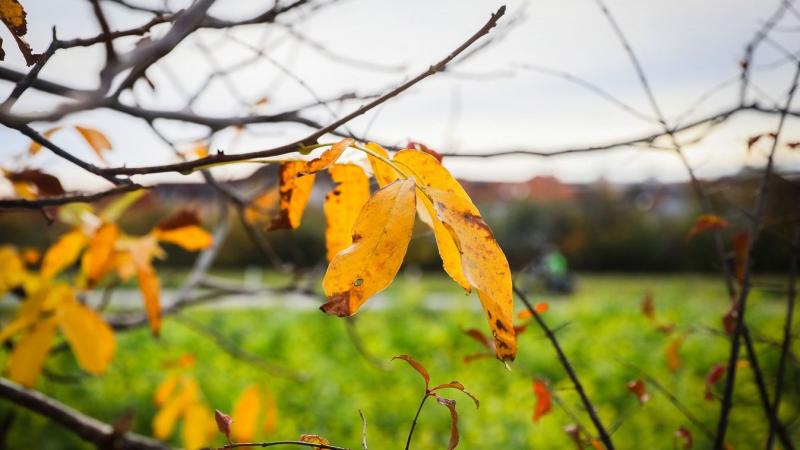 Senki sem gondolta volna, hogy ilyen meglepetésekkel szolgál a mindenszentek időjárása!