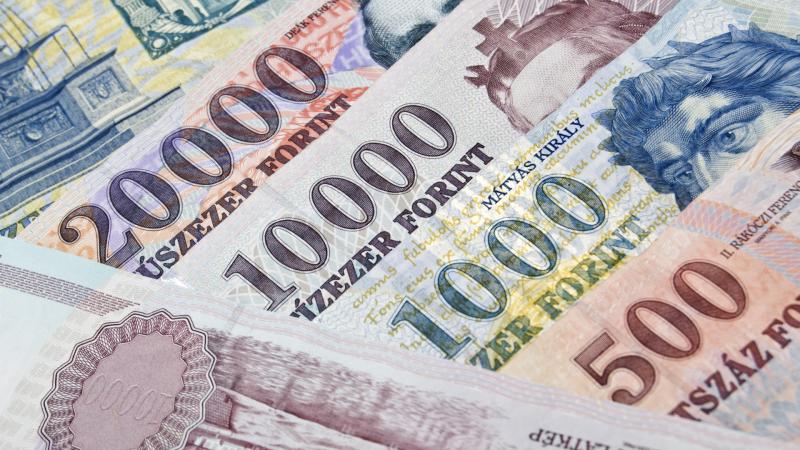 NAV-akció - Több százmilliós SZÉP-kártyás csalás leleplezve!