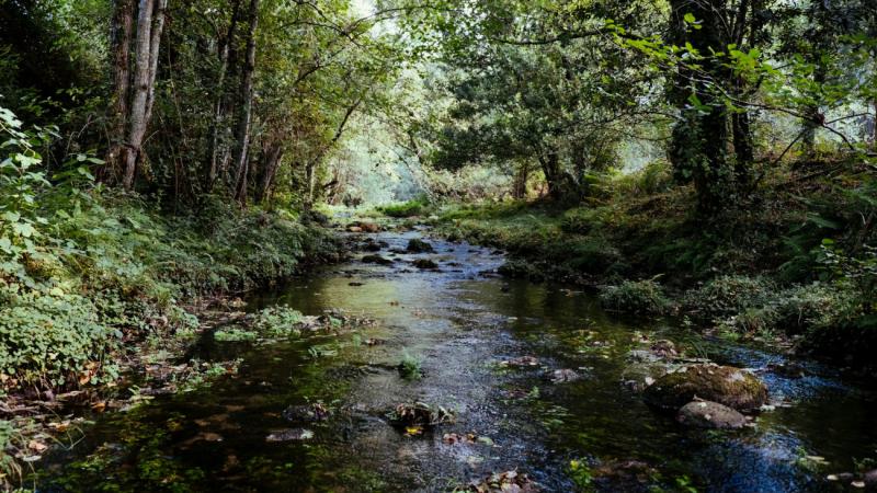 Mostantól telefonos applikációval is nyomon követhetjük a folyóvizek állapotát – a szakértők kifejezetten ösztönzik ennek használatát!